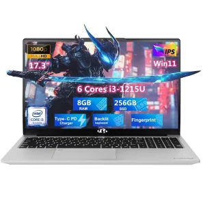 17.3" IPS FHD Laptop, Intel 6 Cores i3-1215U 8GB RAM 256GB SSD (Beat Ryzen 5 7520U, Up to 4.4GHz) Computer with 65W GaN Type C Backlit Keyboard Fingerprint, for Home Student and Business Silver