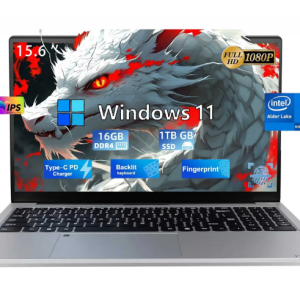 15.6" Business Laptop Computer Quad-Core Intel Celeron N100 Processors Windows 11 Up to 3.4GHz Type-C 65W PD Fast Charger 16GB RAM 1TB SSD 2 Years Warranty (Silver)