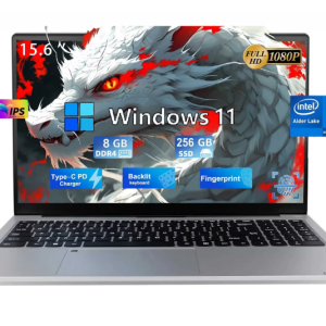 23. 15.6" Business Laptop Computer Quad-Core Intel Celeron N100 Processors Windows 11 Up to 3.4GHz Type-C 65W PD Fast Charger 8GB RAM 256GB SSD 2 Years Warranty (Silver)