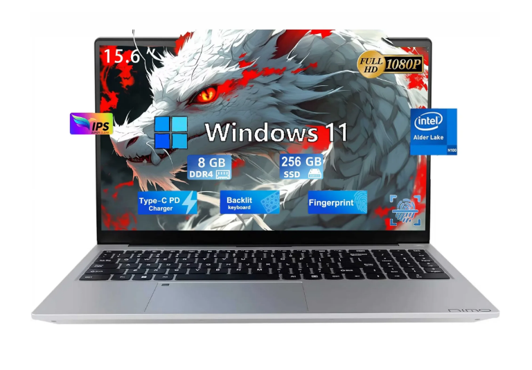 15.6" Business Laptop Computer Quad-Core Intel Celeron N100 Processors Windows 11 Up to 3.4GHz Type-C 65W PD Fast Charger 8GB RAM 256GB SSD 2 Years Warranty (Silver)