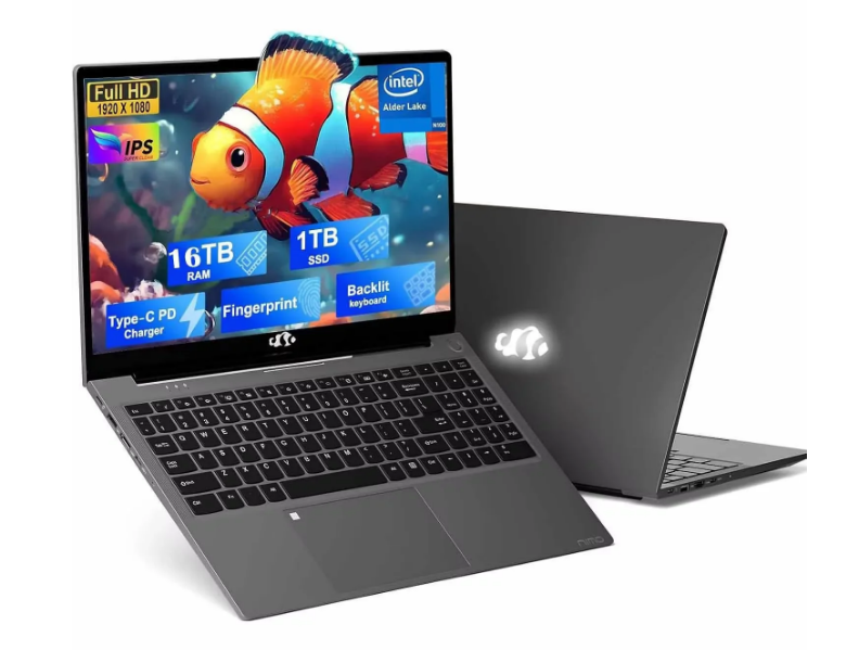 2025 Newest Laptop, 15.6-Inch FHD Display Laptop with Intel Quad Core-12th N100(Up to 3.4GHz), 16GB RAM 1TB ROM Business Laptop Computer, Fingerprint, Type C, Windows 11 Home(Gray)