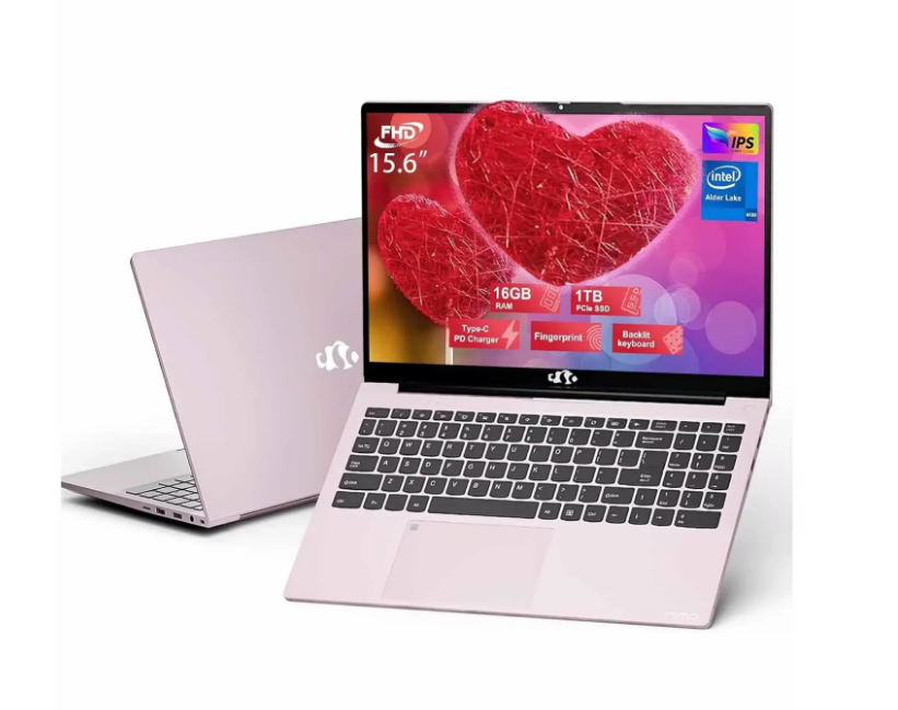 2025 Newest Laptop, 15.6-Inch FHD Display Laptop with Intel Quad Core-12th N100(Up to 3.4GHz), 16GB RAM 1TB ROM Business Laptop Computer, Fingerprint, Type C, Windows 11 Home(pink)
